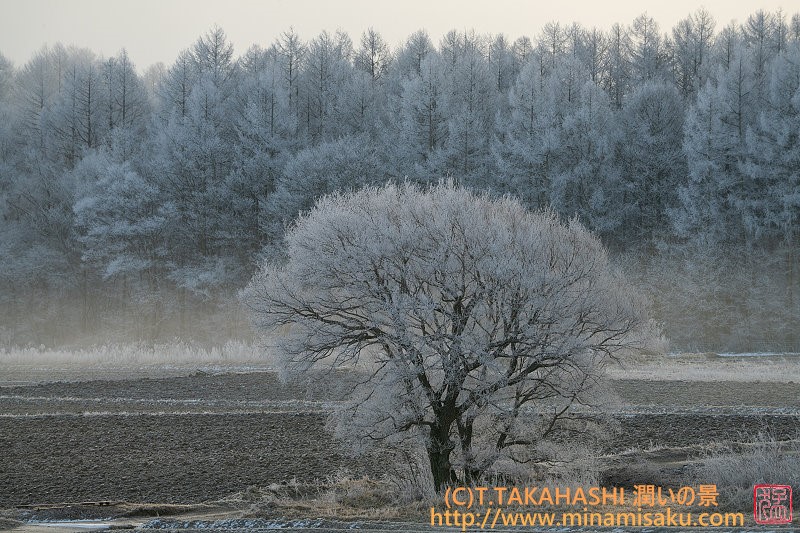 ../Images/7R250103 (19).jpg